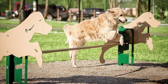 Dog Park Amenities Dog Park Amenities