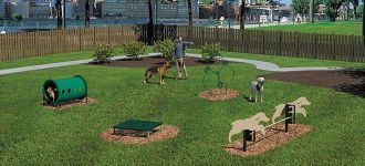 Novice Dog Course
