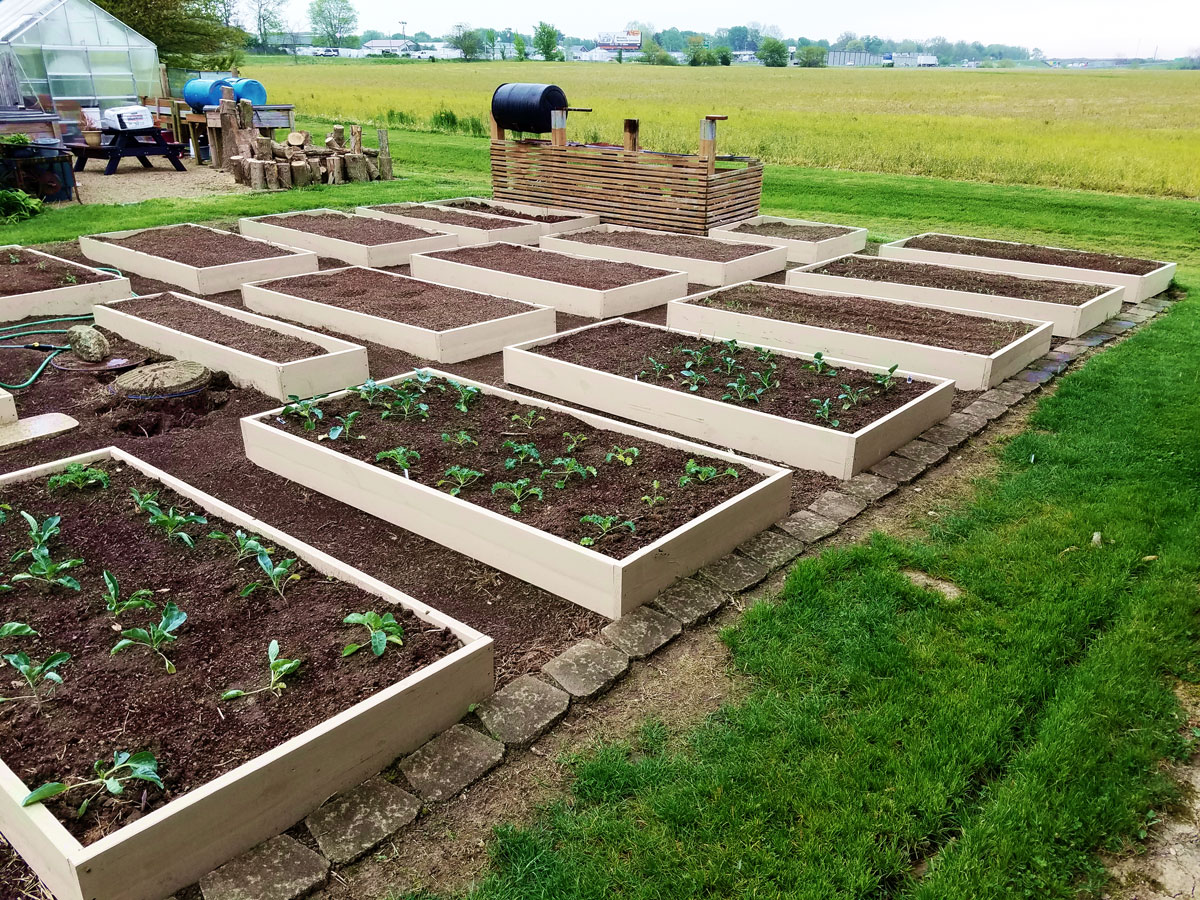 Planter Boxes: A Garden Upgrade Project